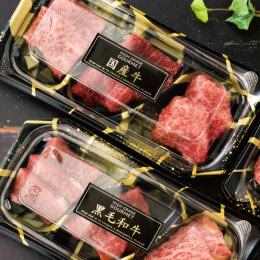 �گ��̰��۰ټ��/���Y���iֺ�j-22(500���E1��)