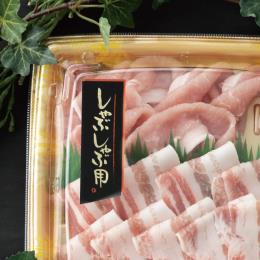 �گ��̰��۰ټ��/���޼��ށi�Áj-2(500���E1��)