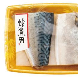 �گ��̰��۰ټ��/�ċ��p-43(500���E1��)