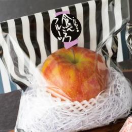 �گ��̰��۰ټ��/�H�׍��i�فj-72(500���E1��)