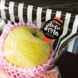 �گ��̰��۰ټ��/�������-74(500���E1��)