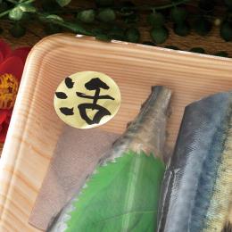 �گ��̰��۰ټ��/��-83(500���E1��)