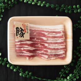 �گ��̰��۰ټ��/���Y��-89(500���E1��)