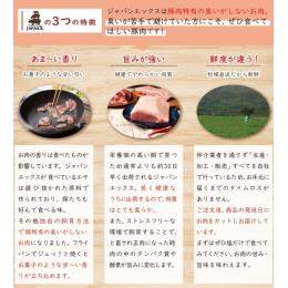 JAPAN X @o@ubN@{錧Yuh((1^kg))