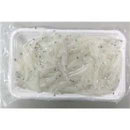 【送料無料　385円/PC】　刺身白魚