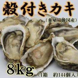 殻付きカキ　（養殖・韓国産・ハーフシェル）　８ｋｇ（約144個入り）