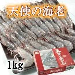 天使の海老　１ｋｇ（30～40匹）