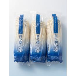 ���̏����{�i�v���X�j((170g�@30/�^C/S))