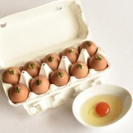 ���� 10H���[���h�p�b�N(2L�`MS��d�ʁE10���p�b�N�E6�^C/S)