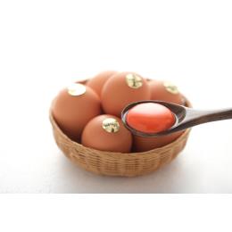 ���� 10H���[���h�p�b�N((2L�`MS��d�ʁE10���p�b�N�E6�^C/S))