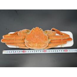 （2075-001）北海道産大ズワイ姿　3ｋｇ箱に7尾入り