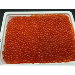 （6011-01）★紅鮭 イクラ醤油漬 1級品 　500g入