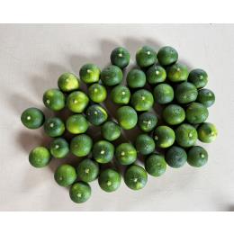 �y�󂠂�B���i�z�@�������Y������  1kg�iM�`3L�����j�b�Ɩ��p�E�Y�n����((��40�E1�^kg))