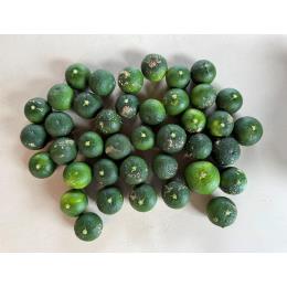 �yC�i�z�������Y������ 1kg�iM�`3L�����j�b�Ɩ��p�E�Y�n����((��40�E1�^kg))