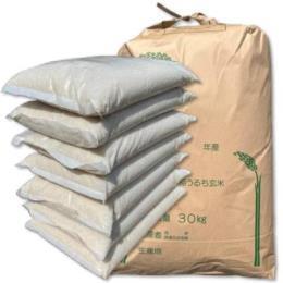 【送料無料】無洗米 長野県産ミルキークイーン31.5kg 令和4年産(4.5kg×7袋・1／セット)