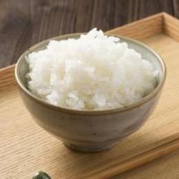 【送料無料】業務用無洗米 特別栽培米 北信産 コシヒカリ31.5kg 令和5年産