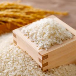 Ȗ،YƂ̐10kg/5kg~2((10kg/5kg~2E1^Zbg))