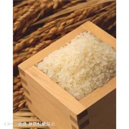 国内産業務用ゴールドブレンド　10ｋｇ