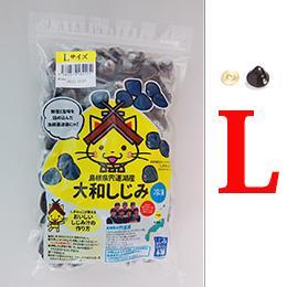 宍道湖産しじみ「舞音」L冷凍　1kg