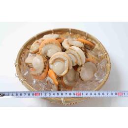 北海道産　ボイルホタテむき身4S【51-60粒/k】