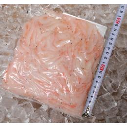 ＜数量限定/変わり種海老＞富山産　白海老500g