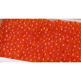アメリカ産 いくら醤油漬け250g×2