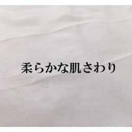 おしぼりPS-1　不織布40ｇ　平型　（1ケース：2.400本入リ）