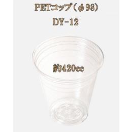 PETRbvi98j DY-12(1,000E1C/S)