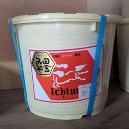 n cɖX 10kg(1^^)