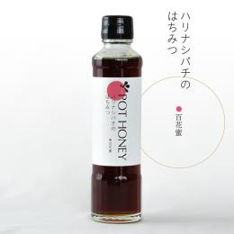 POT HONEY ハリナシバチのはちみつ　百花蜜　250g