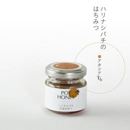 POT HONEY ハリナシバチのはちみつ　アカシアTb　40g