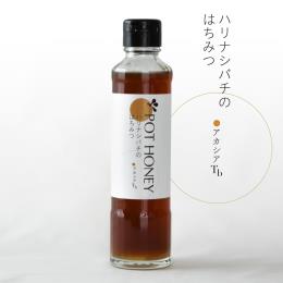 POT HONEY ハリナシバチのはちみつ　アカシアTb　250g