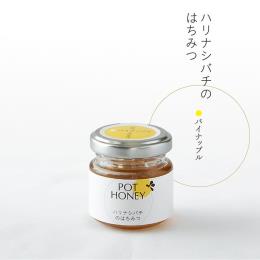 POT HONEY ハリナシバチのはちみつ　パイナップル　40g