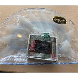 ヤリイカ薄造り35g