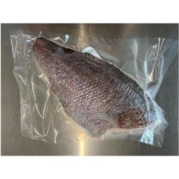 玄界灘産 三年養殖「天超」真鯛  フィレ小ケース