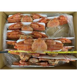 北海道産　ボイル紅ずわいがに姿11尾/4kg