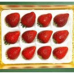 �v���~�A���������i�嗱�j�@24�� ��1000g