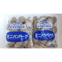 ミニハンバーグ　30ｇ
