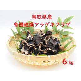 鳥取県産　有機乾燥あらげきくらげ　６kg