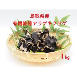 鳥取県産　有機乾燥あらげきくらげ　１kg((１箱・1／kg))