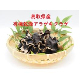 鳥取県産　有機乾燥あらげきくらげ　７５ｇ×１０袋