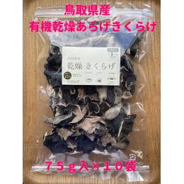 挧Y@L@炰炰@VT~PO((VTg~PO܁^Zbg))