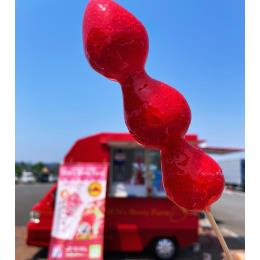 �t���[�Y�����������߃W�����{�R�����Ɩ��p((1�P�[�X100�{�E100�^�{))