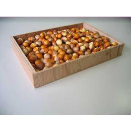 銀杏ぎんなん500g