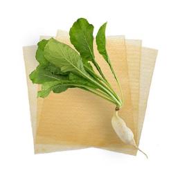 野菜シート（ダイコン）40枚入