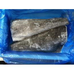 �����t�B���[1-2kg