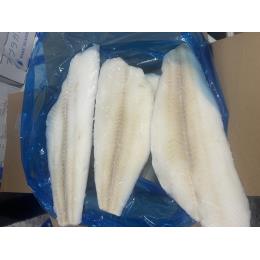 �A�u���J���C�疳������t�B���[((10kg�E1�^kg))