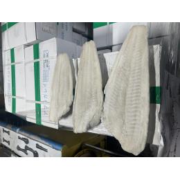 �A�u���J���C��t������t�B���[