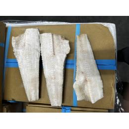 ���������t���t�B���[