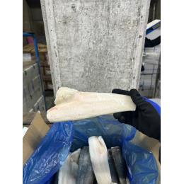 �����t�B���[200-300g((10kg�E1�^kg))